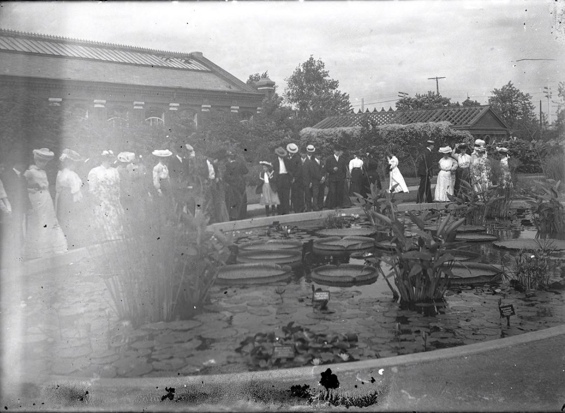 Missouri Botanical Garden Lily Pond, 1900