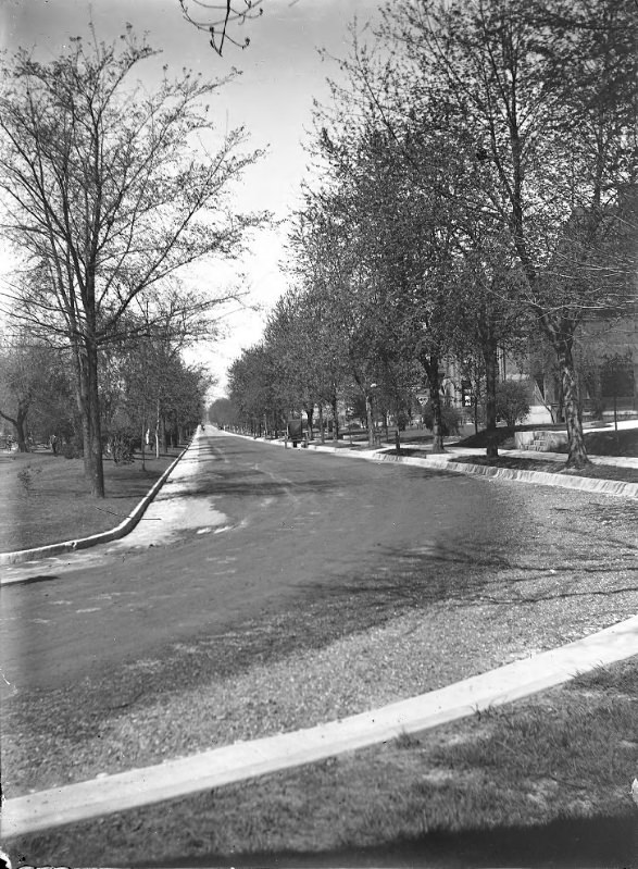 Down the Length of a Residential Street, 1900