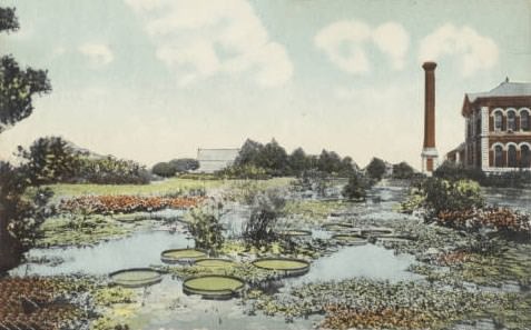 Sunken garden, Chain of Rocks, St. Louis, 1900