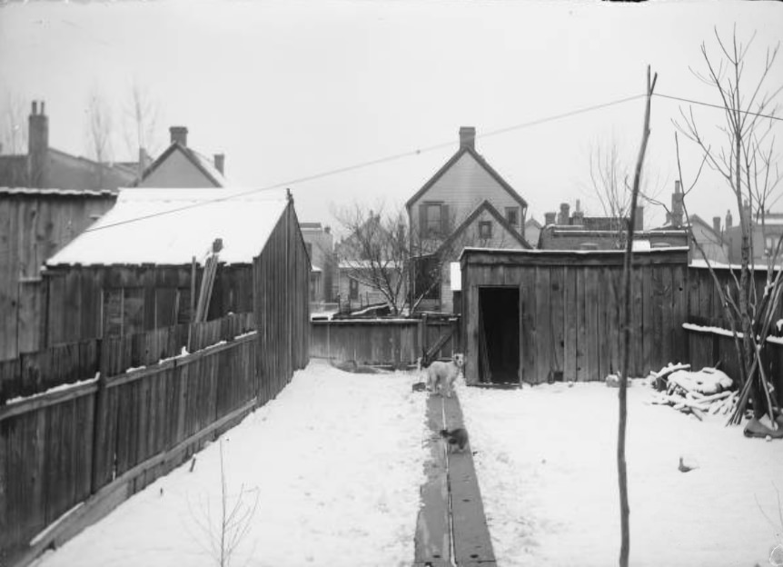 Back views from back porch, 1905