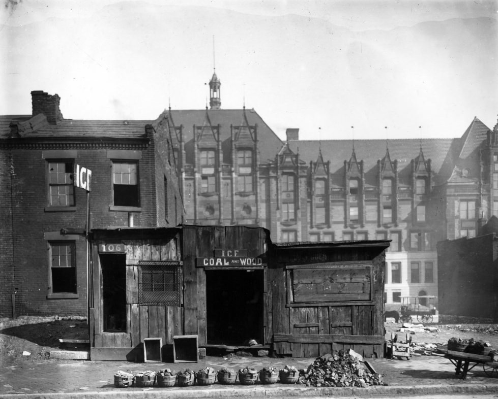 Ice, coal and wood stand in downtown St. Louis, 1900
