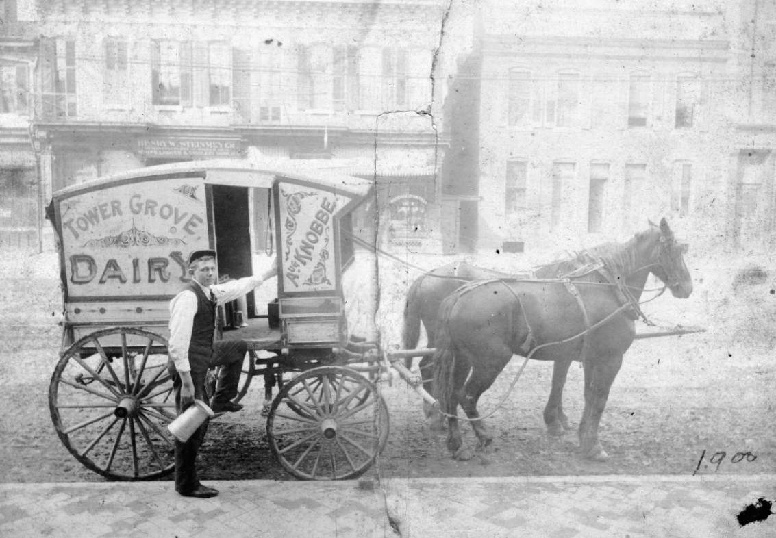 An employee for the Tower Grove Dairy delivering goods to residents of St. Louis, 1900.