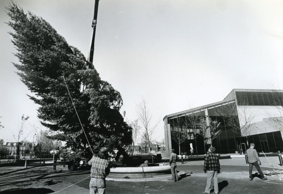 Christmas Tree Erected on the Anheuser-Busch Brewery Ground, 1985