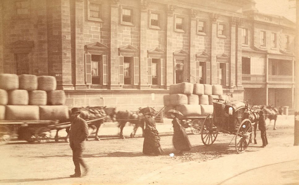 Street scene from Sydney, 1889