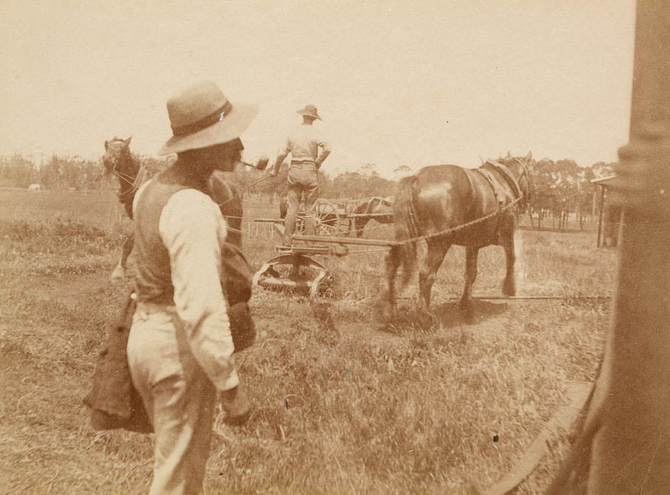 Farm scene from Sydney, 1889