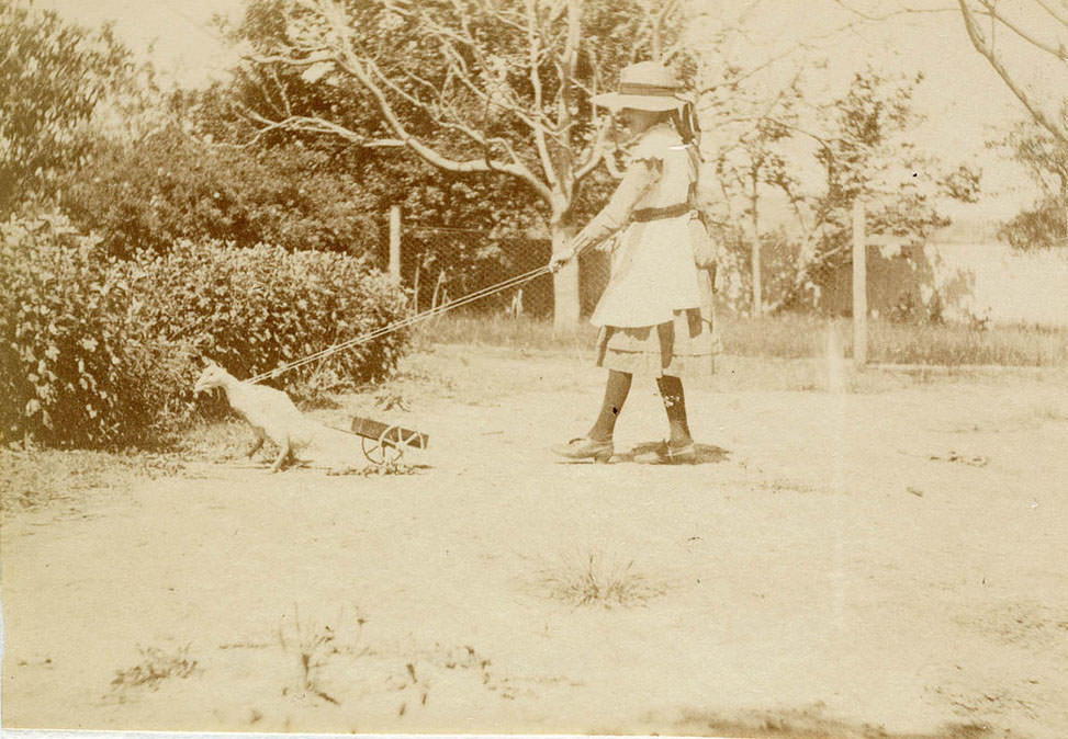 Girl with pet duck on lead from Sydney, 1889