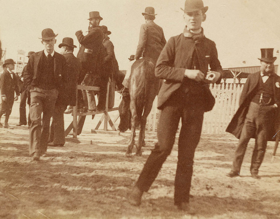 Street scene from Sydney, 1880s