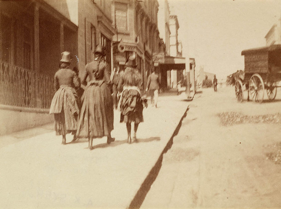 Street scene from Sydney, 1880s