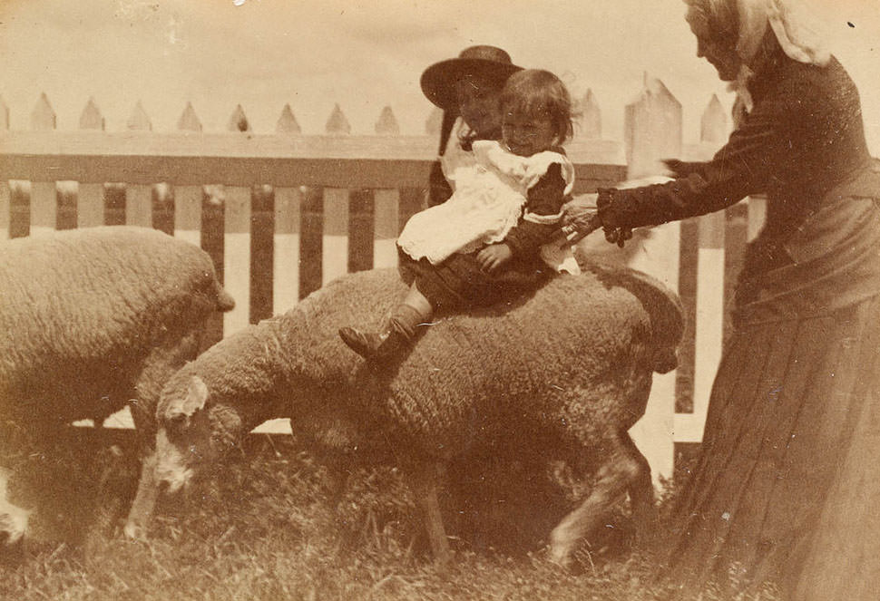 Children in street from Sydney, 1885