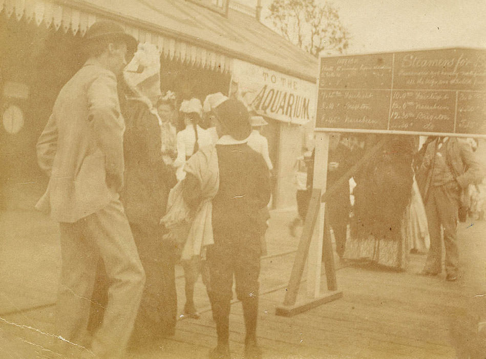 Manly Ferry Wharf from Sydney, 1880s