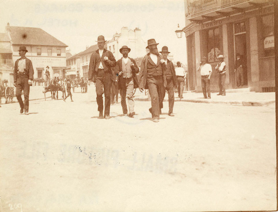 Governor Bourke Hotel from Sydney, 1870s