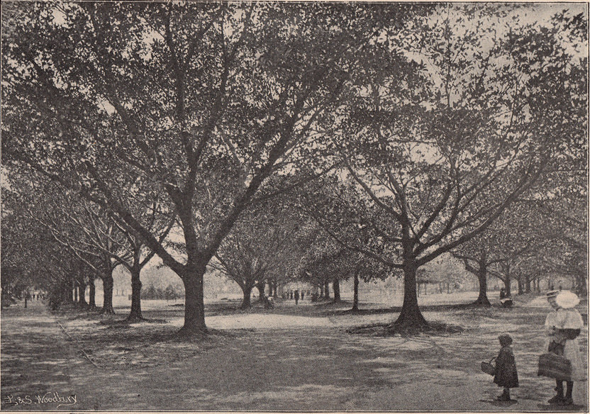 Hyde Park, 1897