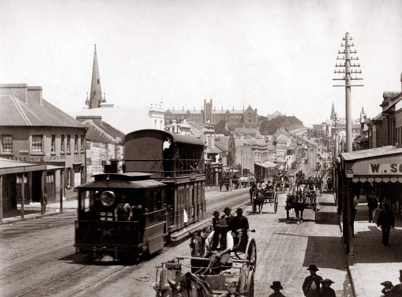Sydney street with steam powered tram and horse carriages, 1890s