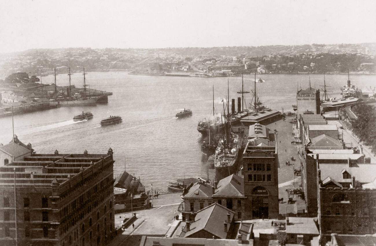 Harbor view, Sydney, 1890s