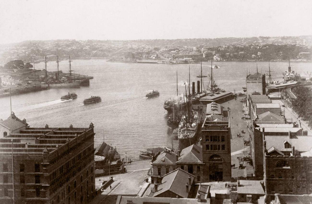 Harbor view, Sydney, 1890s