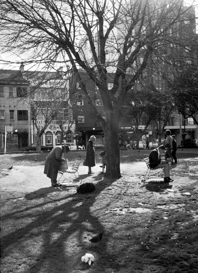 Fitzroy Gardens, Kings Cross, Sydney, 1968