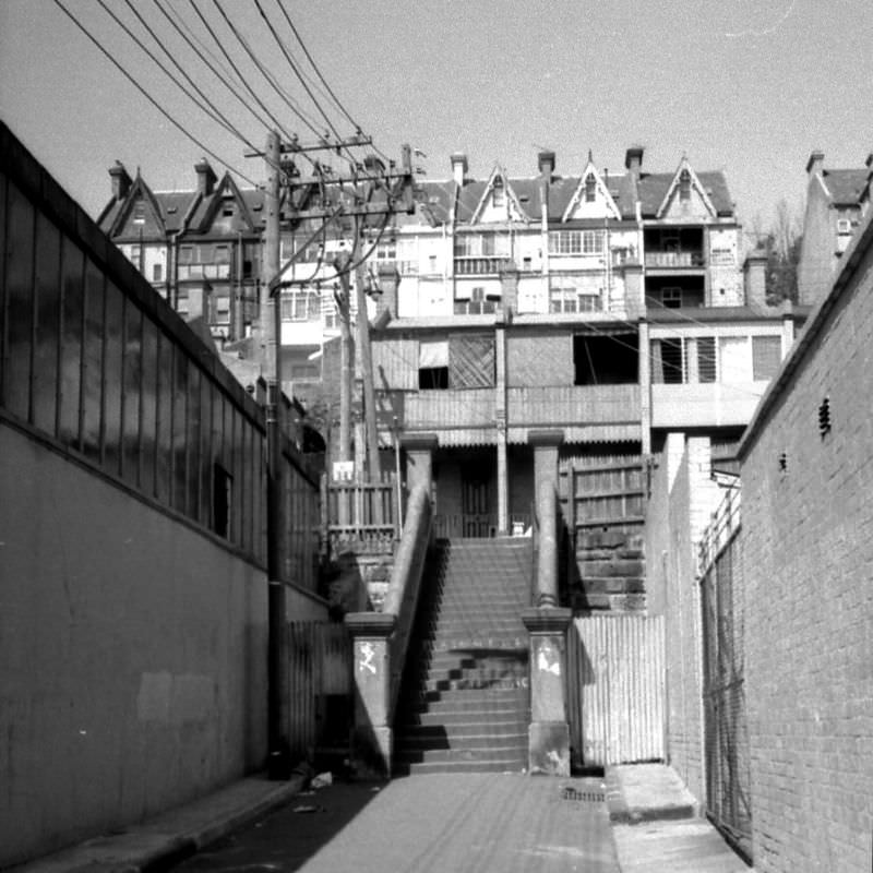 Stairs, Woolloomooloo, Sydney, 1968