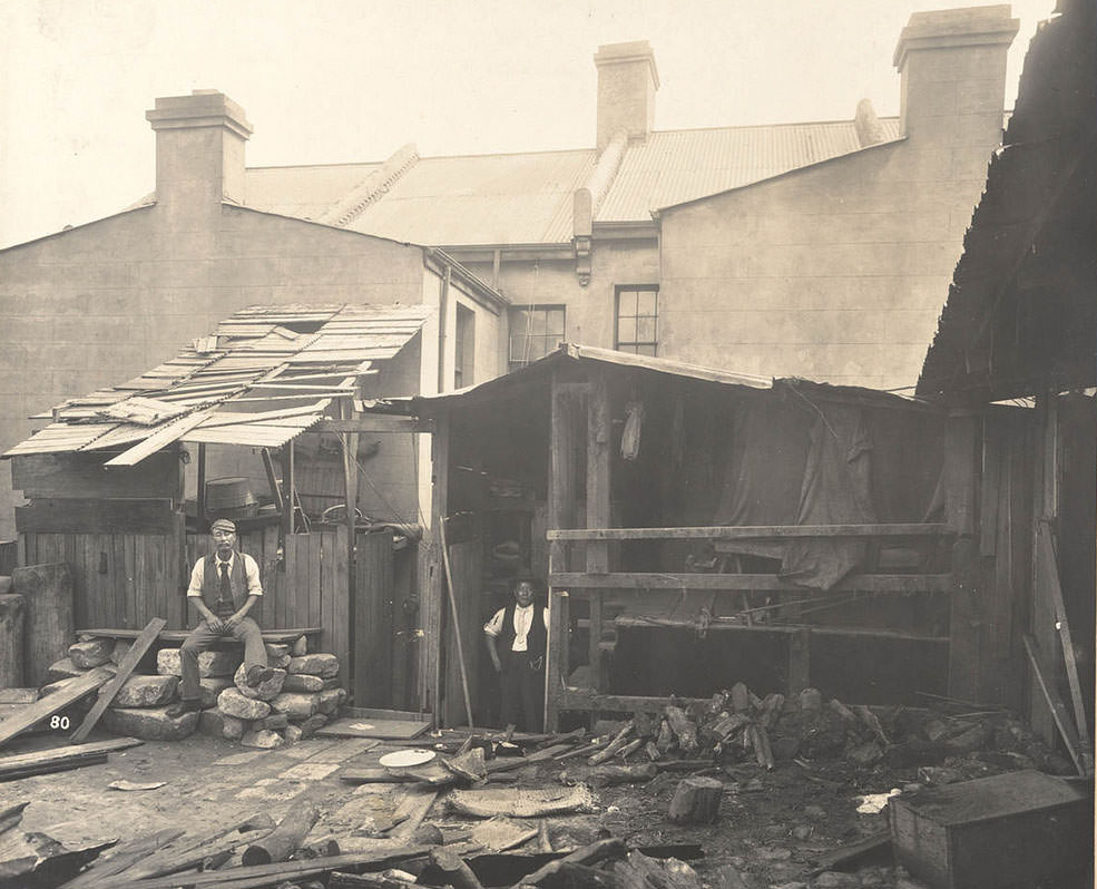 No. 50 Wexford-street (rear), Chinese bedroom