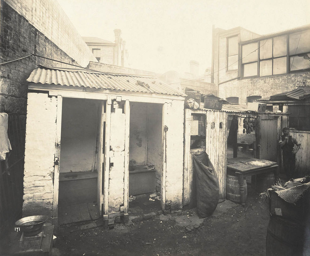 Rear of unidentified butcher's yard with adjacent outhouses