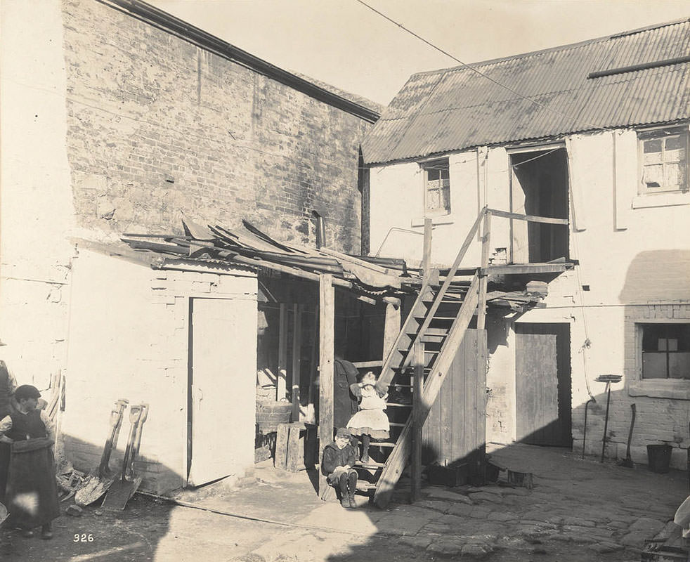 Shed at rear of No. 310 Castlereagh-street