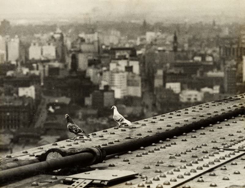 A Bird's Eye View, circa 1931