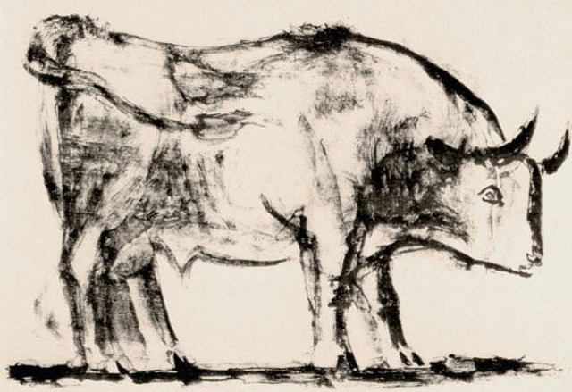 Plate 1: To start the series, Picasso creates a lively and realistic brush drawing of the bull in lithographic ink.
