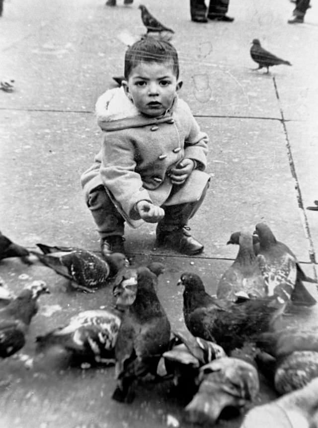 Little boy feeding pigeons in Trafalgar Square during winter, London, 1960s.