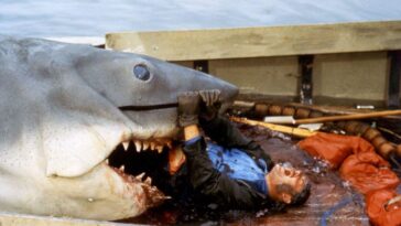 Behind the Scenes of Jaws