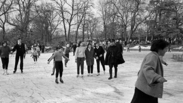 Bois de Boulogne winter 1956