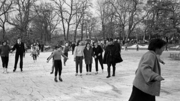 Bois de Boulogne winter 1956