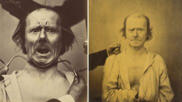 Mechanism of Human Physiognomy Illustrations