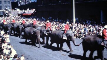 Milwaukee Circus Parade 1960s