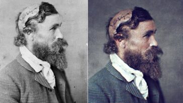 Robert McGee