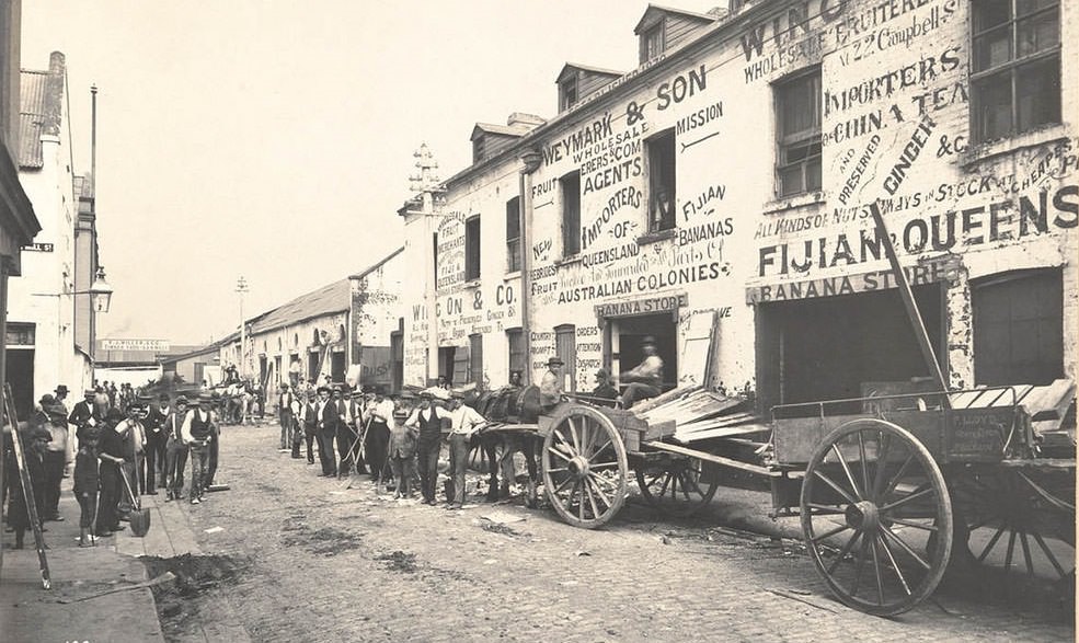 Sydney Bubonic Plague 1900