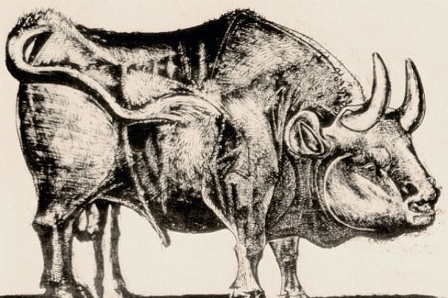 The Bull by Pablo Picasso