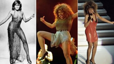 Tina Turner's legs