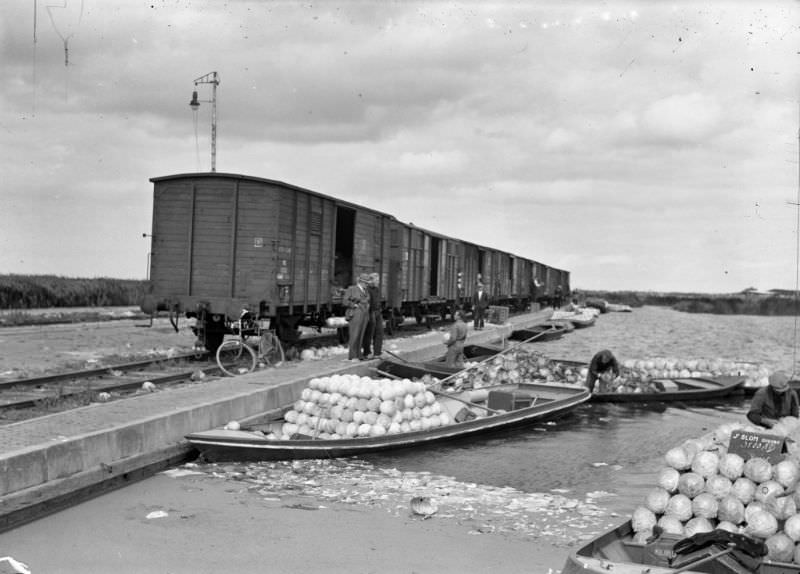 An inspector (or other high-ranking official) has arrived by service bicycle to discuss things critically with the local farmers, Broek op Langedijk, August 21, 1952