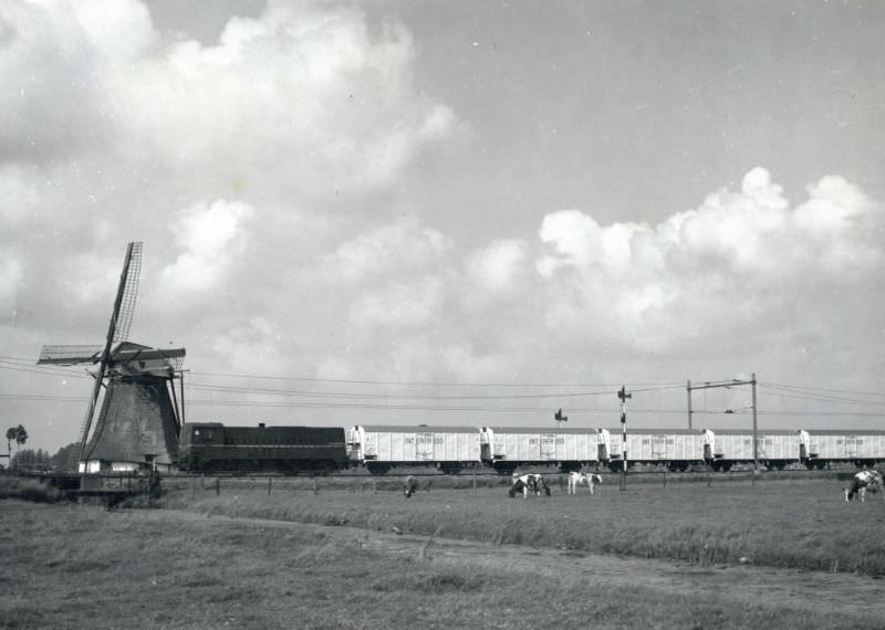 The Rijnenburger mill near Hazerswoude, a tow of Interfrigo cars on the way to Leiden Lammenschans, where the refrigerated trucks may be unloaded at the auction, July 22, 1958