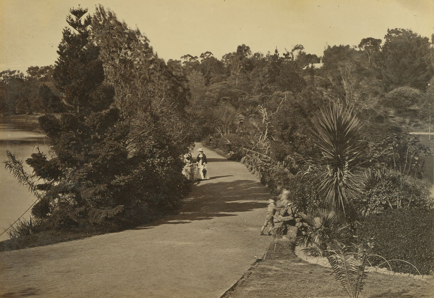 Botanical Gardens, Melbourne, 1885