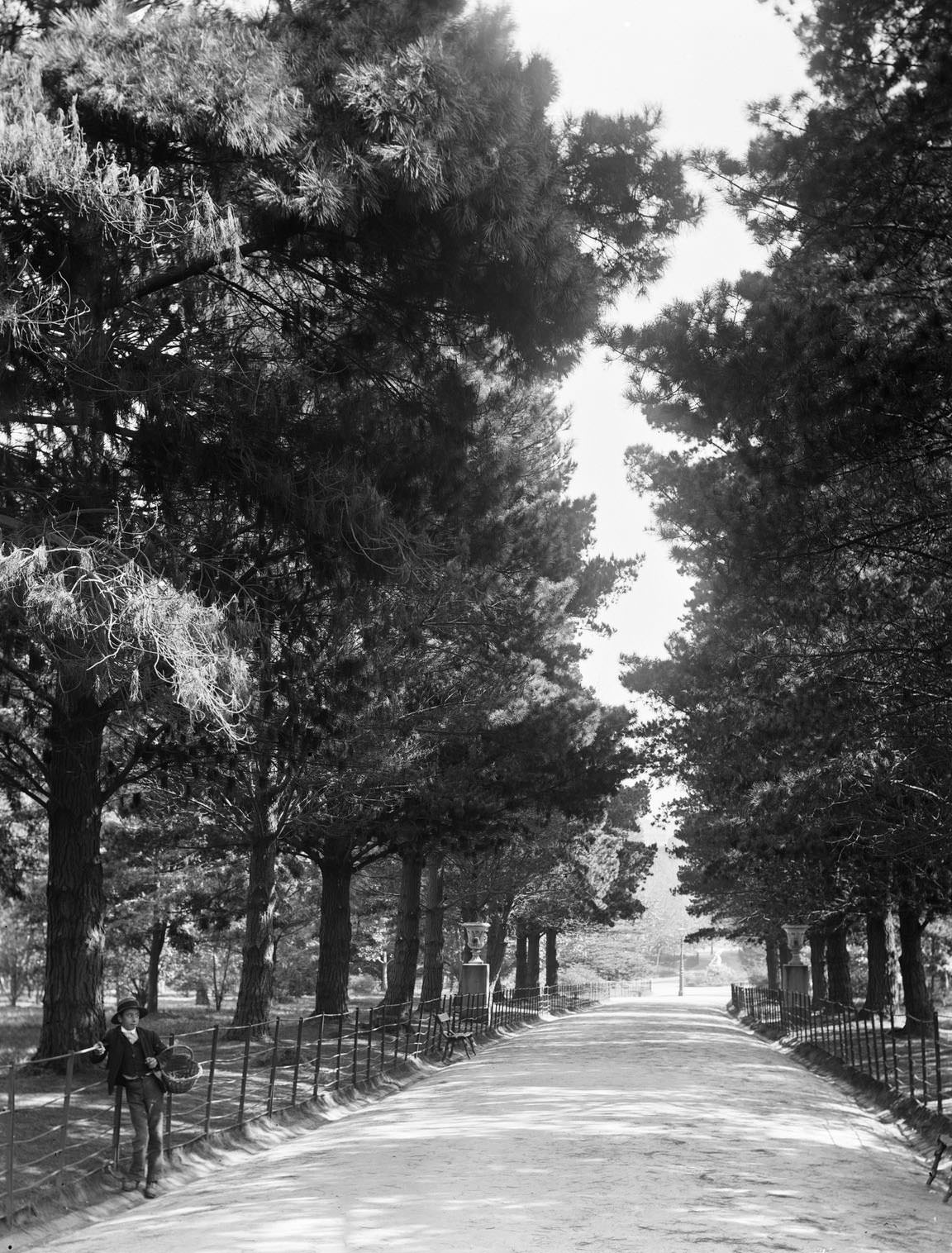 Fitzroy Gardens, Melbourne, 1880