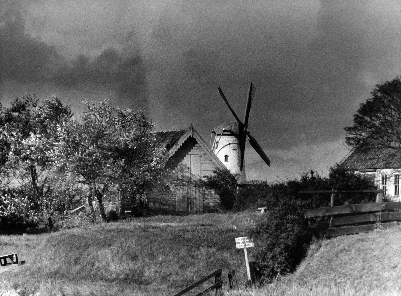 Traditional windmill on Zeeland, Netherlands, 1955.