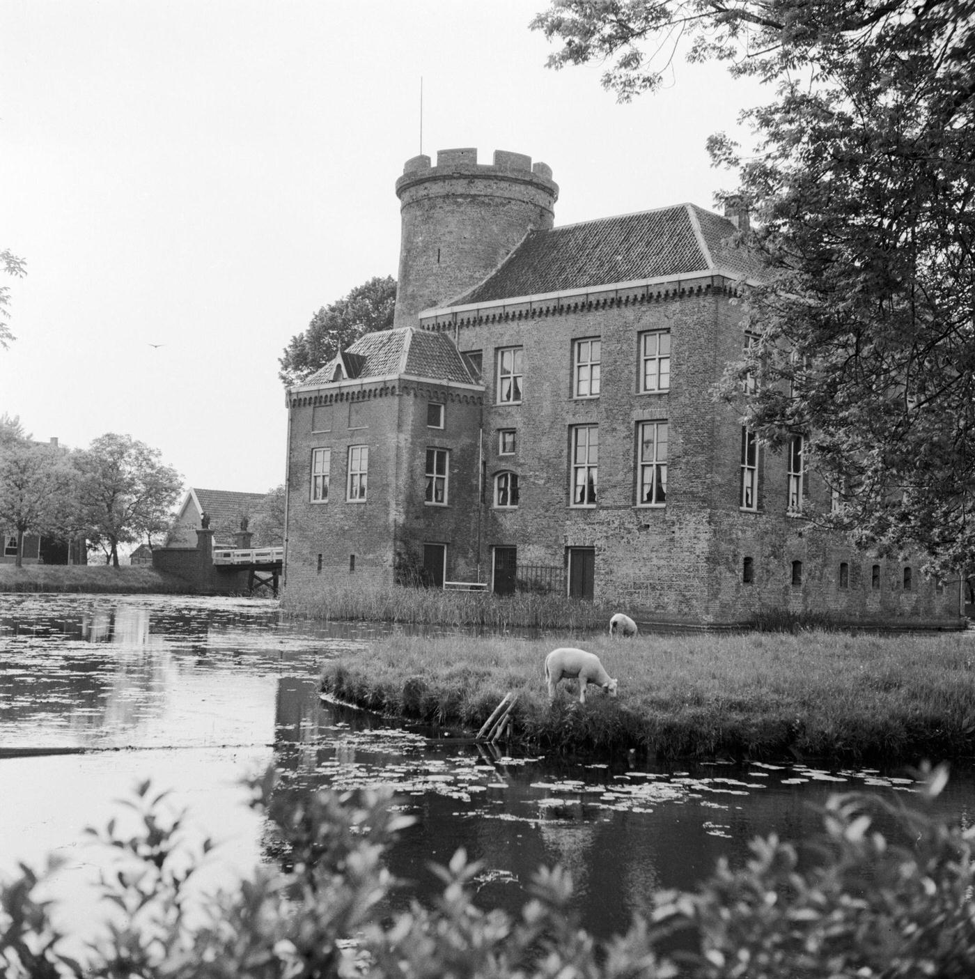 A picturesque castle built on a small island with sheep grazing on the surrounding grass, 1955.