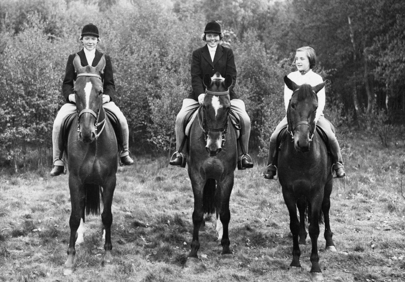 Dutch Royal Family: Princess Irene (14), Princess Beatrix (16), and Princess Margriet (11) ride horses at Grebbeberg, the Netherlands, daughters of Queen Juliana and Prince Bernhard of the Netherlands.