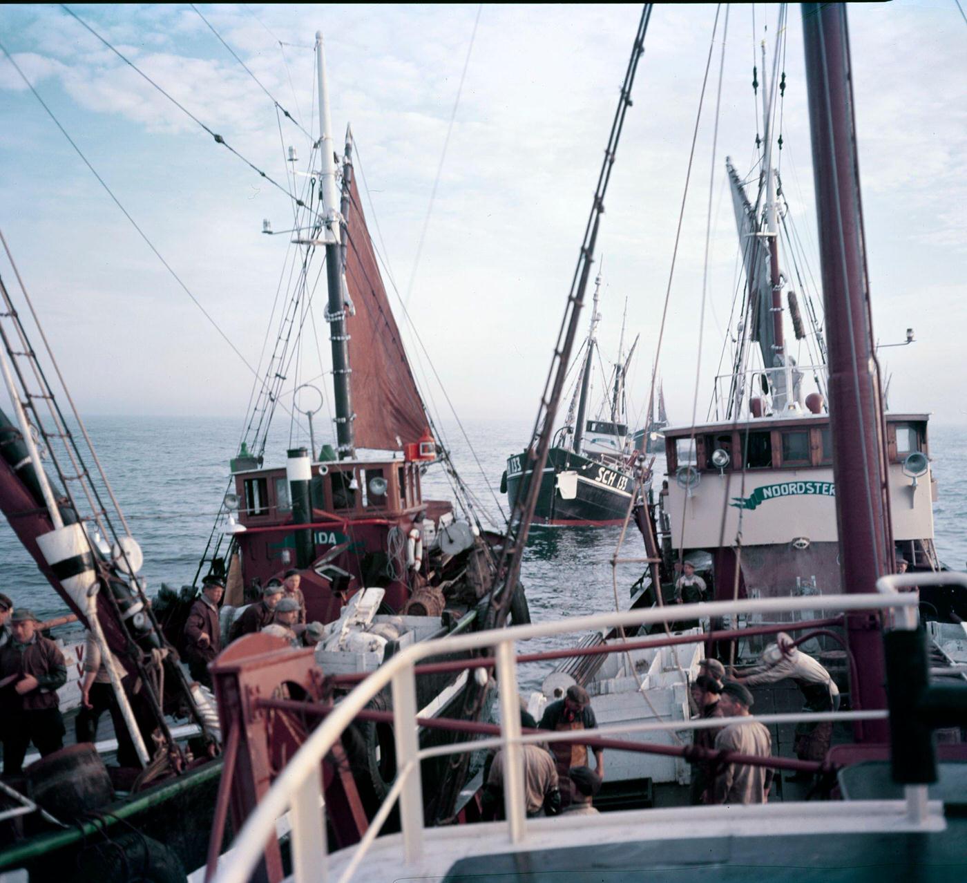 Herring fishing in the North Sea near Scheveningen, the Netherlands, 1954.