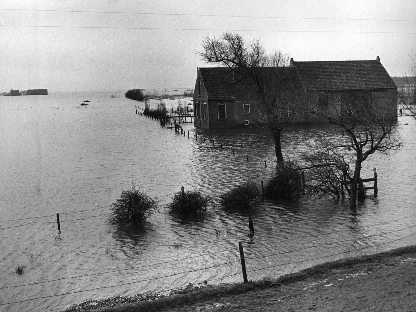 A Dutch farmhouse flooded by water, Netherlands, February 1953.