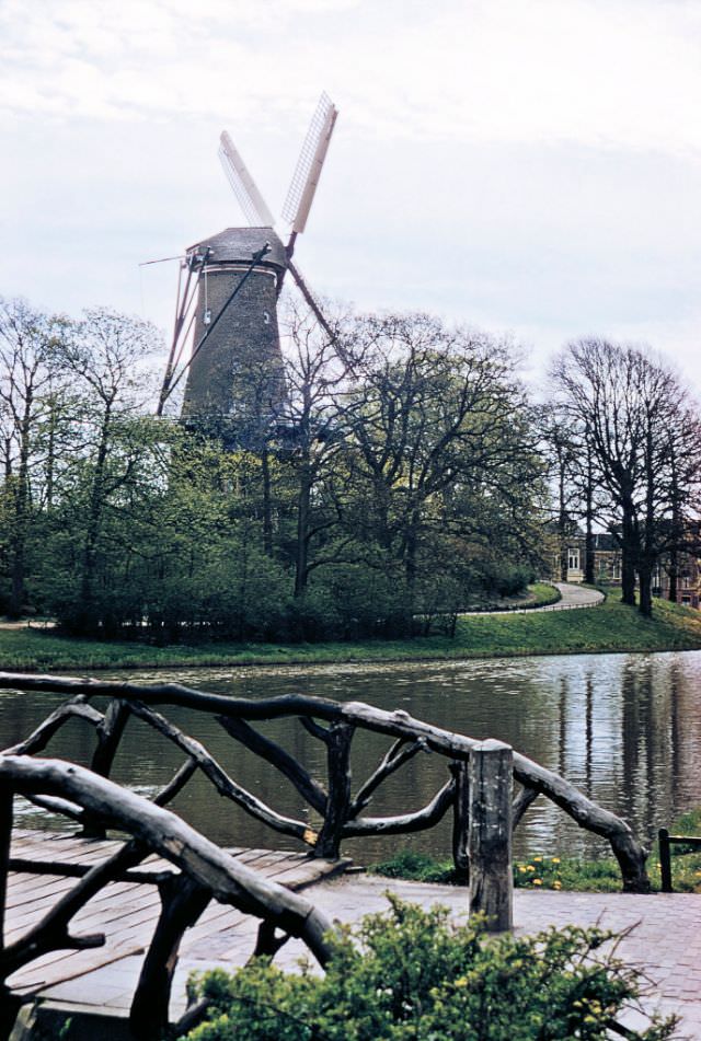 Windmill, De Groot of de Molen van Piet, Singelgracht Canal, Alkmaar.