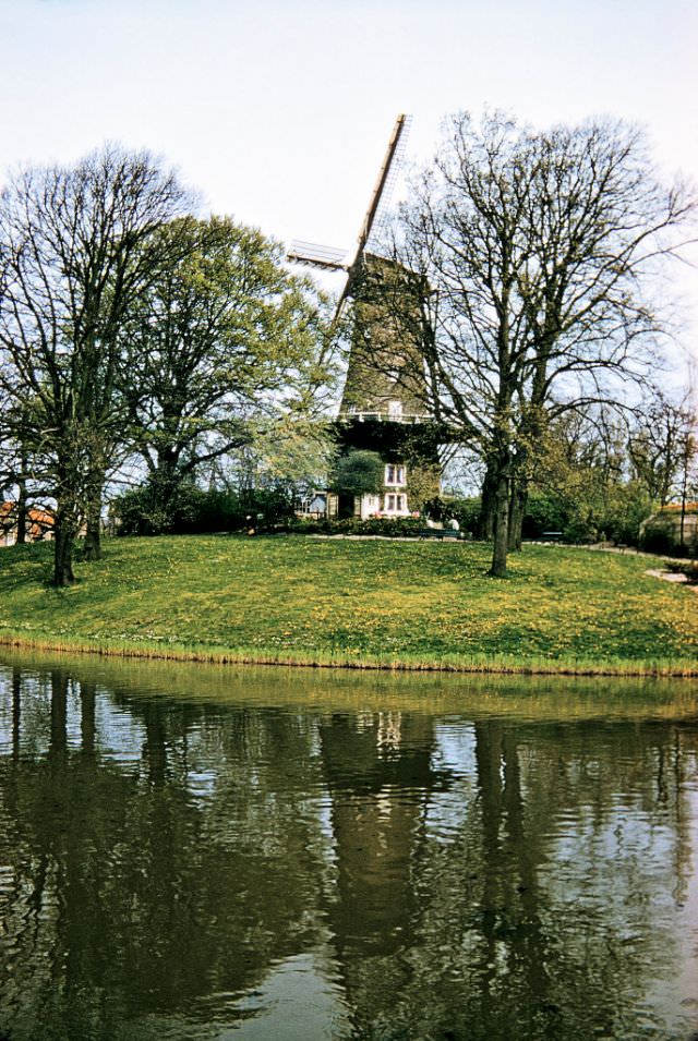 Windmill, De Groot of de Molen van Piet, Singelgracht Canal, Alkmaar.