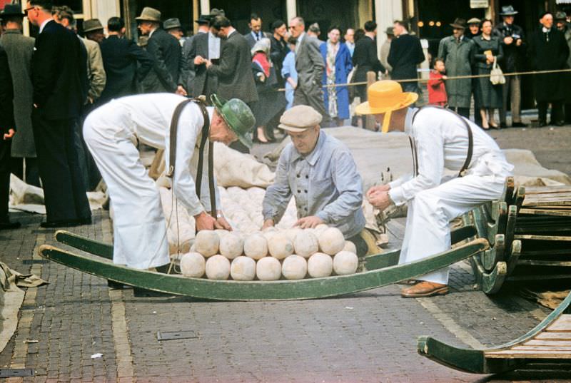 Alkmaar Cheese Market.