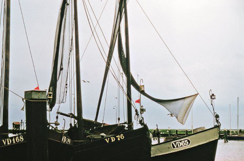 Fishing boats, Volendam.