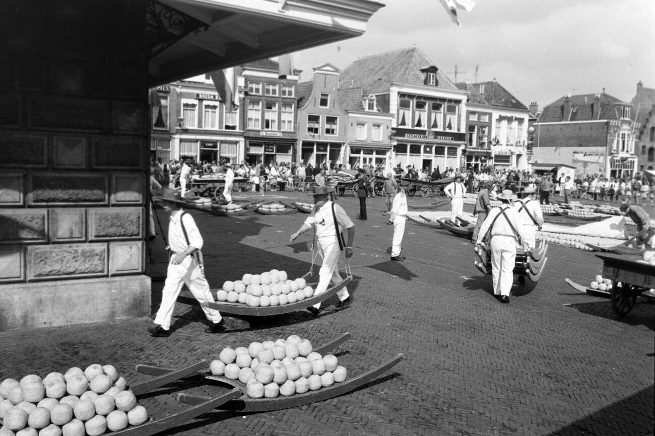 Cheese carriers at the cheese market in front of the city weigh building De Waag at Alkmaar, The Netherlands in 1971.